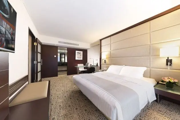 Executive Süit, Business Dinlenme Salonu Kullanımı