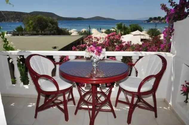 Standart Oda