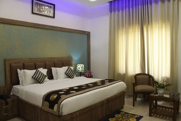 Deluxe Tek Büyük veya İki Ayrı Yataklı Oda, Park Manzaralı