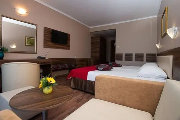 Tek Büyük veya İki Ayrı Yataklı Oda, Balkon (Free WiFi)