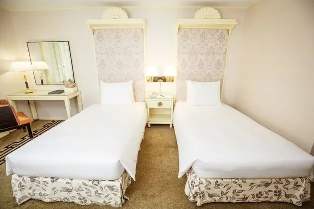 Superior Twin Room (With Breakfast)