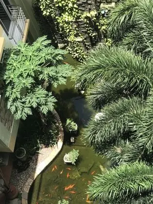 Comfort Oda, 1 En Büyük (King) Boy Yatak, Bahçe Manzaralı (Waterfalls View)