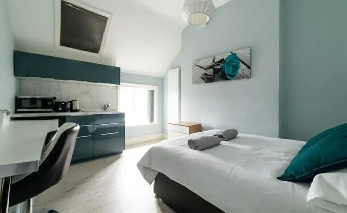 Tek Büyük Yataklı Oda, 1 Çift Kişilik Yatak, Ortak Banyo (Aqua)