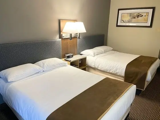 Premium Tek Büyük Yataklı Oda, 2 Çift Kişilik Yatak, Buzdolabı ve Mikrodalga