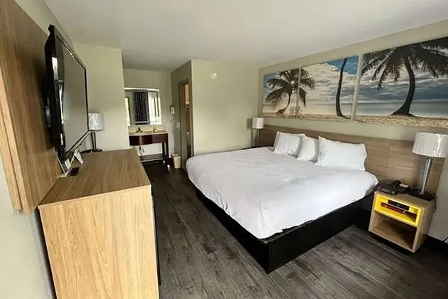 Oda, 1 En Büyük (King) Boy Yatak, Sigara İçilmez