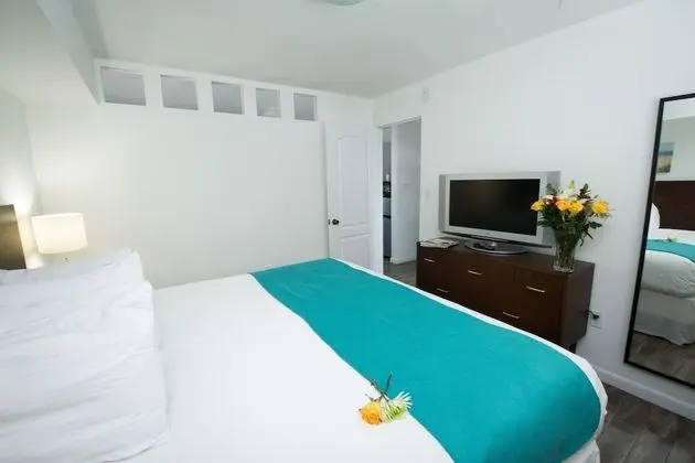 Nonsmoking King Suite