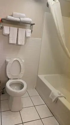 Standard Tek Büyük Yataklı Oda, 2 Çift Kişilik Yatak