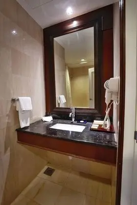 Superior Oda, 1 En Büyük (King) Boy Yatak, Sigara İçilmez, Şehir Manzaralı