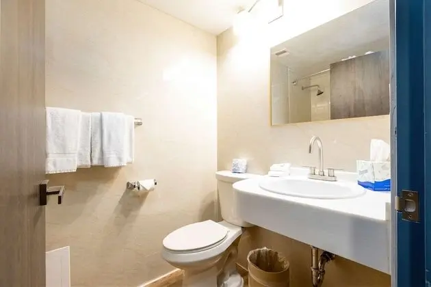 Junior Süit, 1 En Büyük (King) Boy Yatak, Sigara İçilmez, Balkon