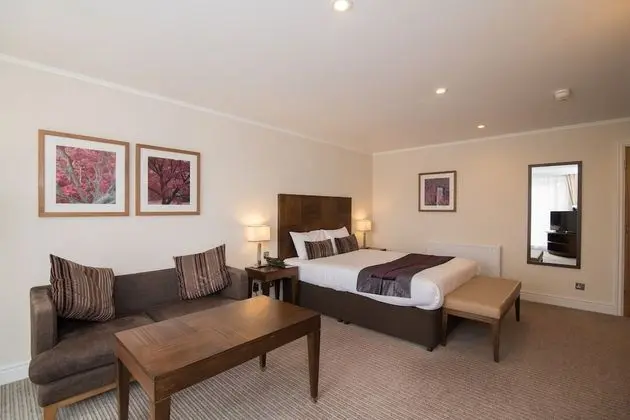 Executive Tek Büyük Yataklı Oda