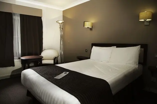 Standard Tek Büyük Yataklı Oda, 1 Çift Kişilik Yatak