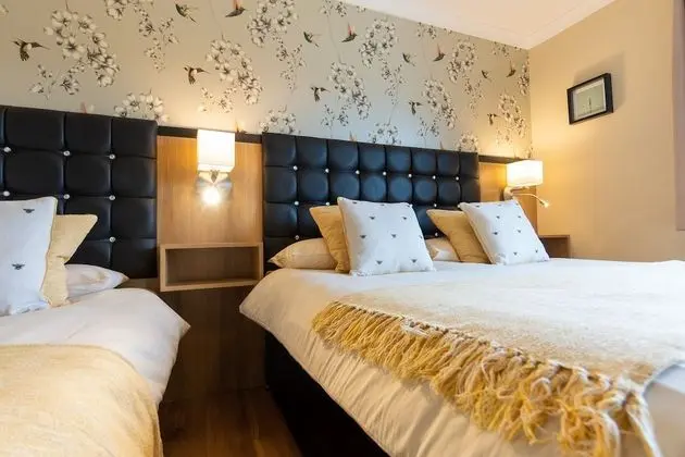 Superior Süit, Banyolu/Duşlu (king size bed)