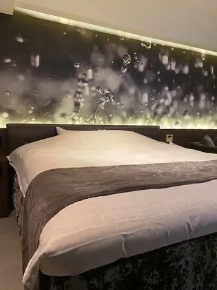 Basic Tek Büyük Yataklı Oda, Şehir Manzaralı