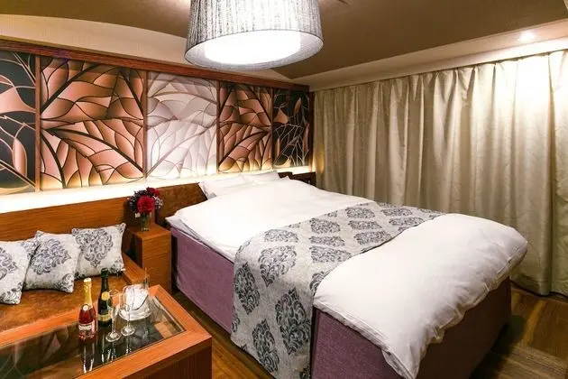 Basic Tek Büyük Yataklı Oda, Şehir Manzaralı