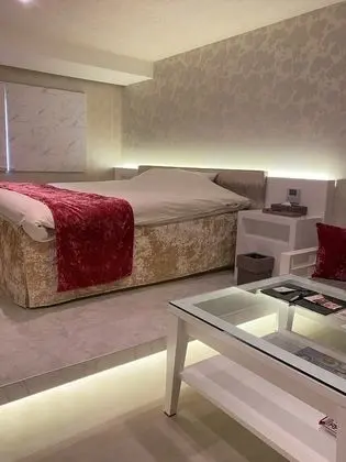 Basic Tek Büyük Yataklı Oda, Şehir Manzaralı