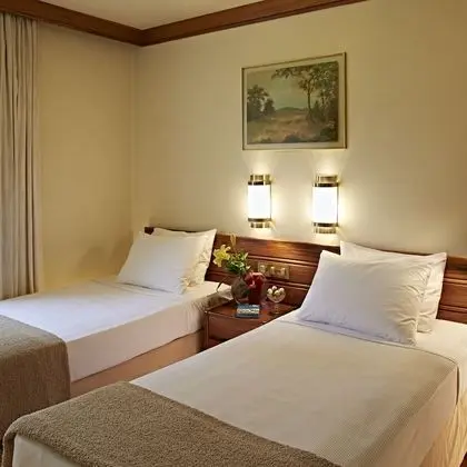 Superior Süit, 2 Tek Kişilik Yatak, Mutfak