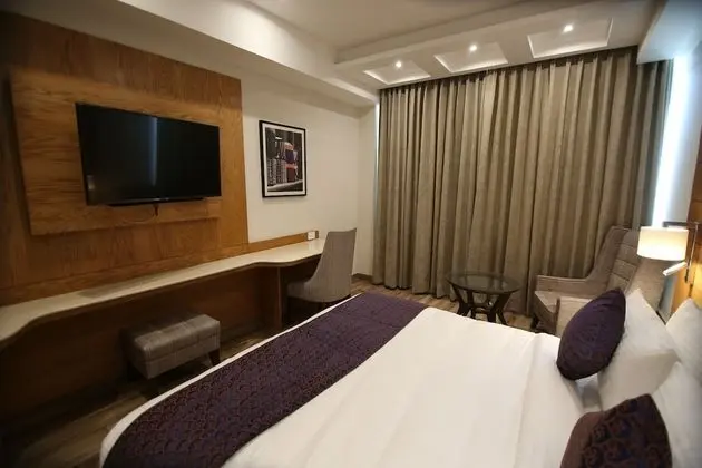 Deluxe Tek Büyük Yataklı Oda, 1 En Büyük (King) Boy Yatak, Şehir Manzaralı