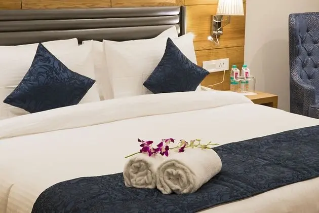Deluxe Tek Büyük Yataklı Oda, 1 En Büyük (King) Boy Yatak, Şehir Manzaralı