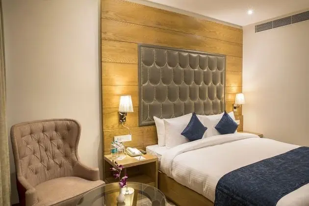 Deluxe Tek Büyük Yataklı Oda, 1 En Büyük (King) Boy Yatak, Şehir Manzaralı