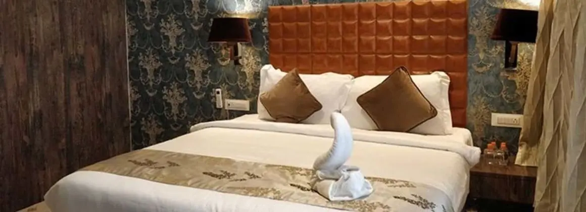 Deluxe Oda, 1 Çift Kişilik Yatak, Engellilere Uygun, Şehir Manzaralı
