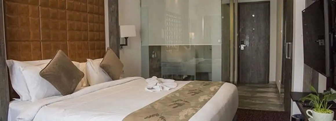 Deluxe Oda, 1 Çift Kişilik Yatak, Engellilere Uygun, Şehir Manzaralı