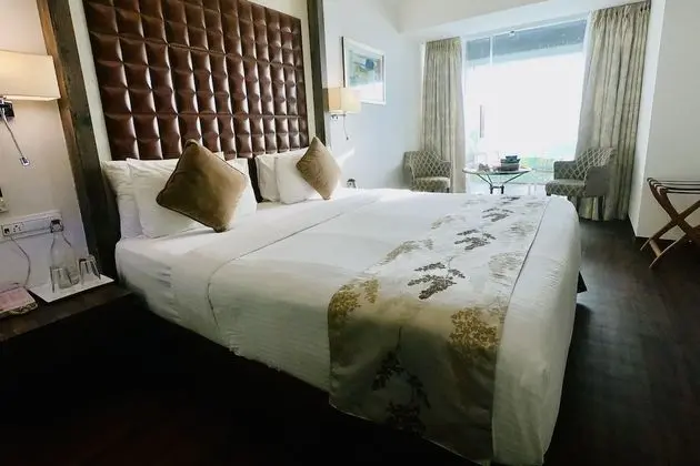 Deluxe Oda, 1 Çift Kişilik Yatak, Engellilere Uygun, Şehir Manzaralı