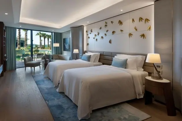 Reges Swim Up Room