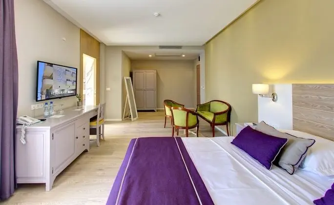 Premium Tek Büyük Yataklı Oda, 1 En Büyük (King) Boy Yatak, Şehir Manzaralı