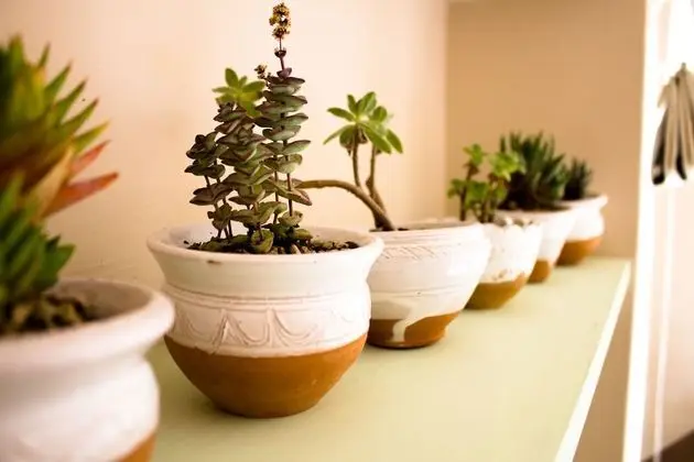 Tek Büyük Yataklı Oda (Trullo B)