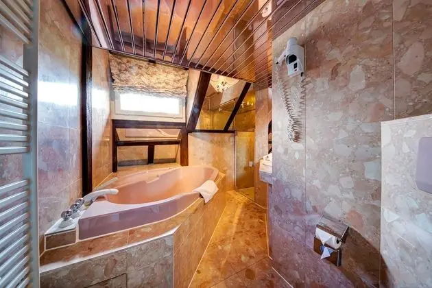 Junior Suite Mountain View