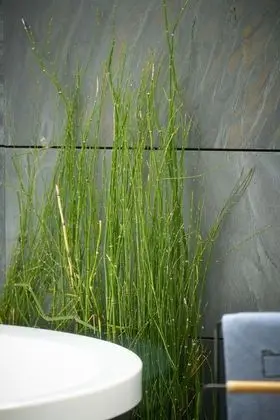 Luxury Çatı Katı Süiti (Penthouse), Sıcak Su Küveti (Terrace)