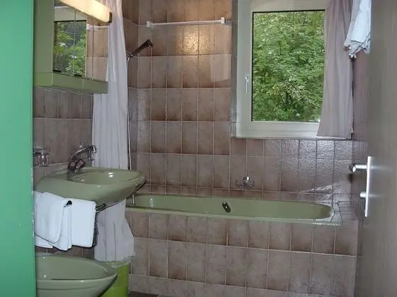 Standard Tek Kişilik Oda, Balkon, Dağ Manzaralı