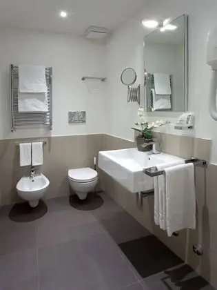 Superior Tek Büyük Yataklı Oda