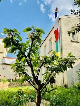 Superior Stüdyo, 2 Tek Kişilik Yatak, Bahçe Manzaralı