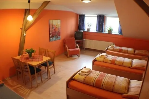 Basic Büyük Yataklı Tek Kişilik Oda (Lünsfeld)