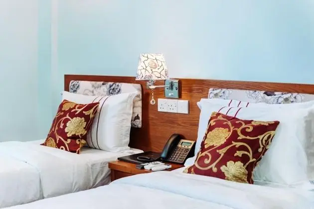 Deluxe Oda, 2 Tek Kişilik Yatak, Engellilere Uygun, Şehir Manzaralı