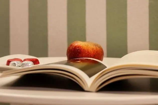 Standard Oda, Şehir Manzaralı