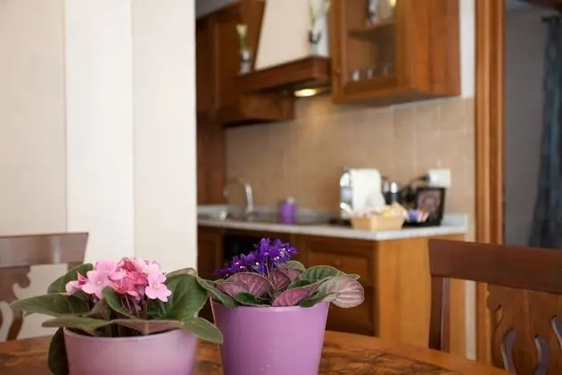 Comfort Apart Daire, 2 Yatak Odası, Sigara İçilmez, Bahçe Manzaralı