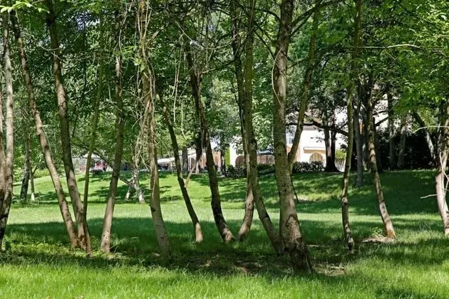 Deluxe Oda (Park)