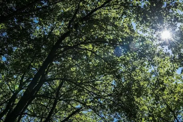 Deluxe Oda, Teras, Bahçe Manzaralı