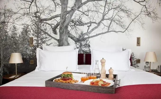 Deluxe Oda, Park Manzaralı