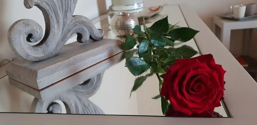 Comfort Tek Büyük veya İki Ayrı Yataklı Oda