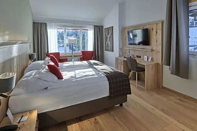 Tek Büyük Yataklı Oda (Mountain View - South)