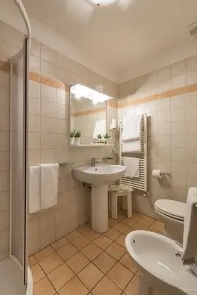 Superior Tek Büyük Yataklı Oda