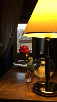 Superior Tek Büyük Yataklı Oda, Teras