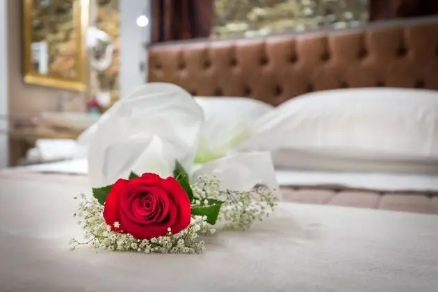 Superior Tek Büyük Yataklı Oda