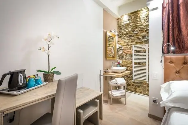 Superior Tek Büyük Yataklı Oda