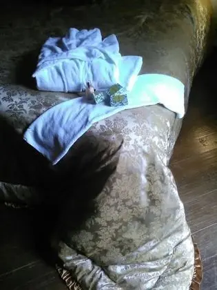 Superior Süit, Jakuzi