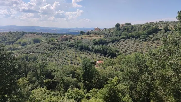 Deluxe Tek Büyük Yataklı Oda, Teras, Vadi Manzaralı