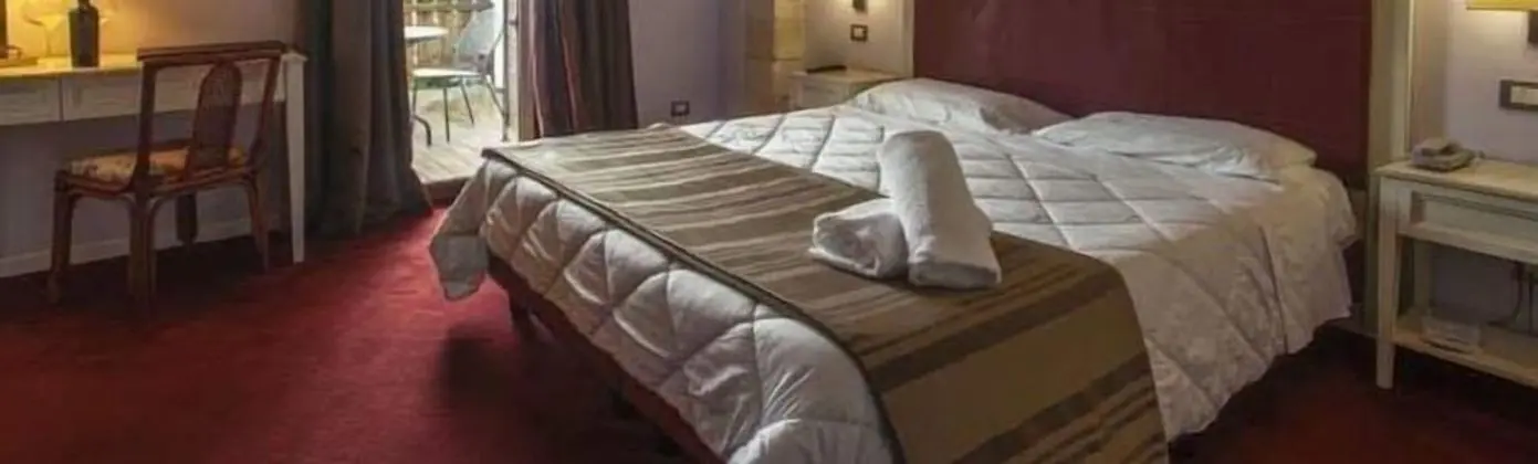 Superior Tek Büyük Yataklı Oda